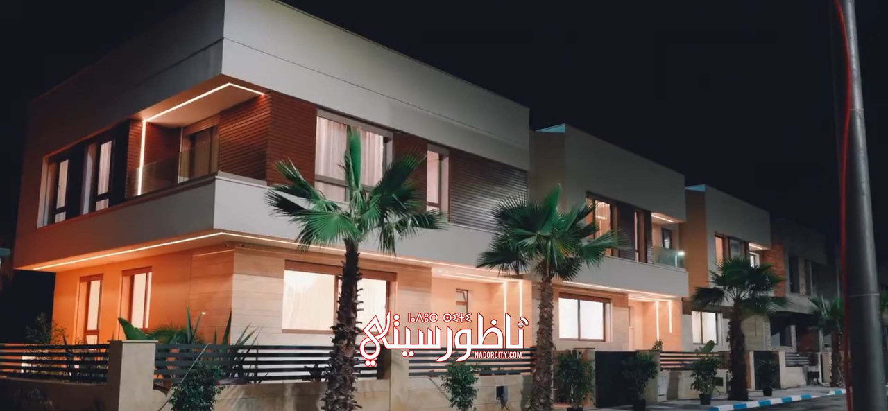 Screenshot-2024-12-13-184406