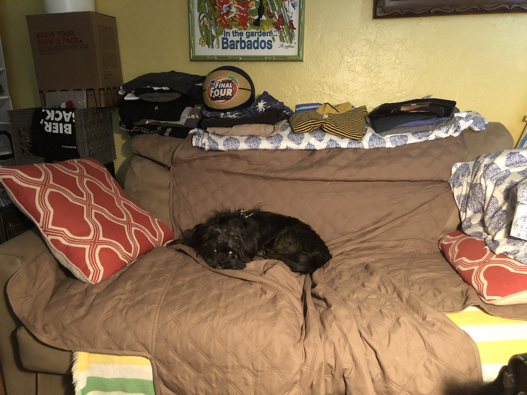 9C447CEC-FDE6-42E5-9F1A-0FCFCAB29D2C