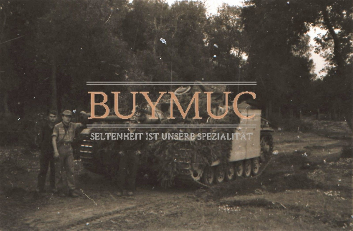 Getarnt Langrohr Sturmgeschütz Panzer-Abt 115 Italien