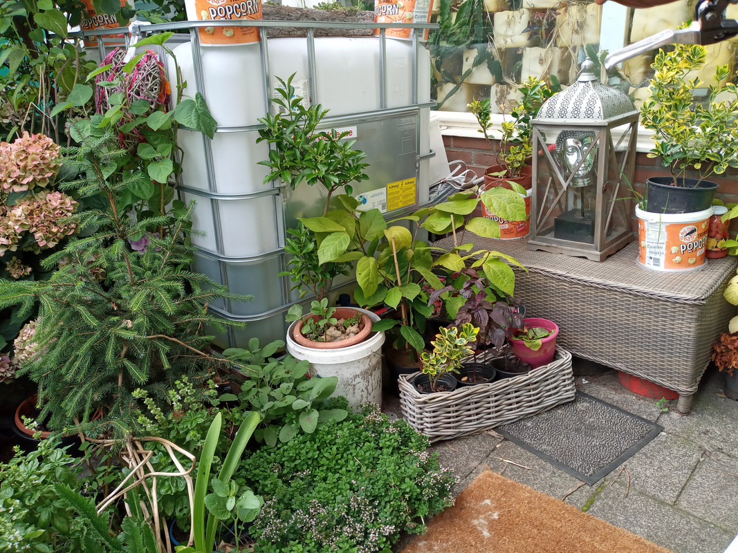 [Image: 20210813-164028.jpg]