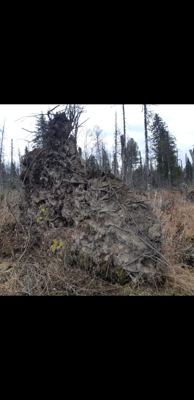 Screenshot_20221017-042900_WhatsApp