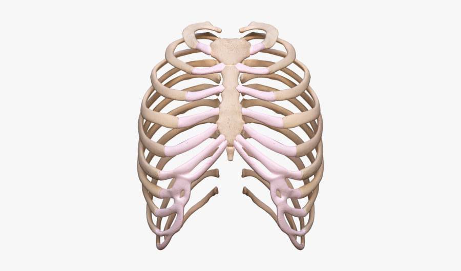 [Изображение: photo-2026-01-20-05-51-16.jpg]