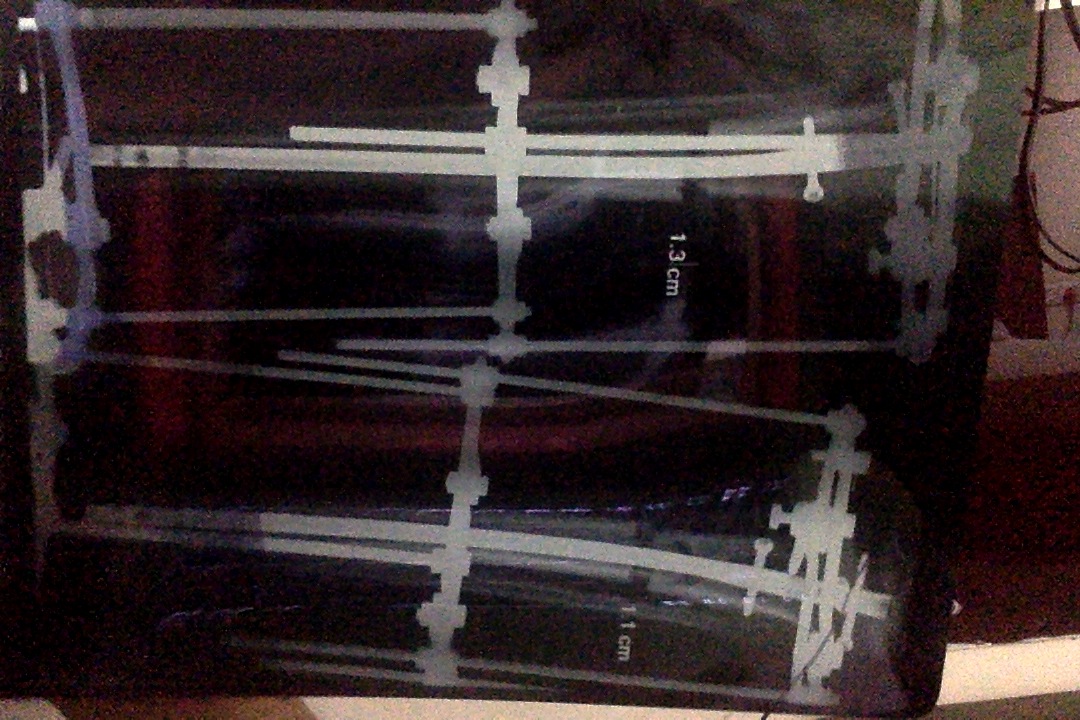 Xray