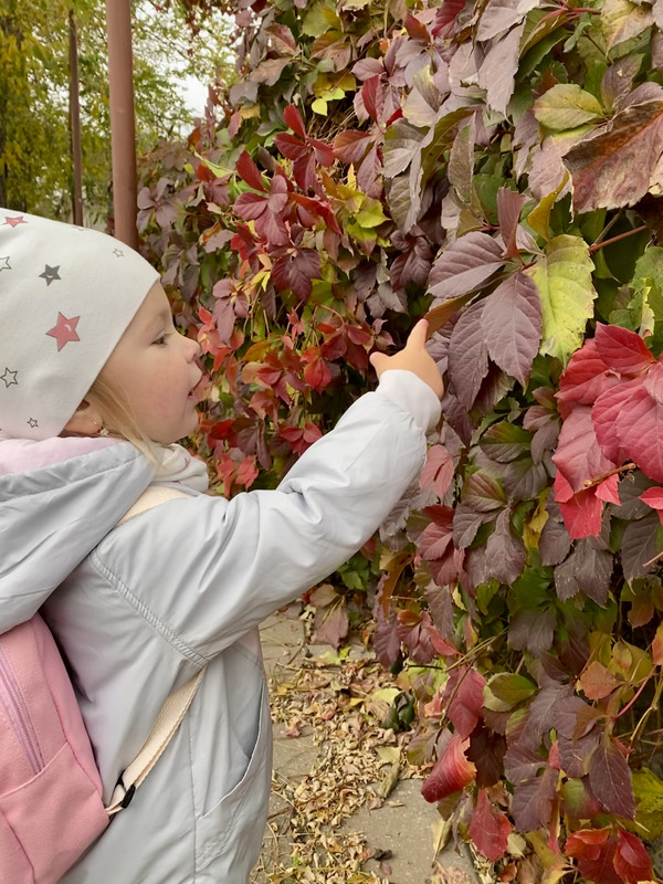 52CA2289-5A39-4558-AA1F-35428BA17D34