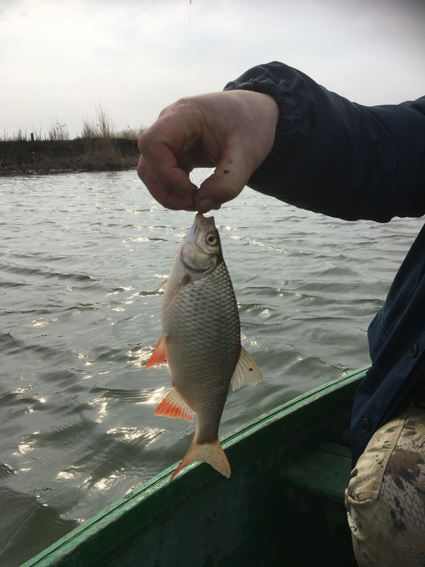 C1F746B6-A7EE-4175-85C5-2588E95FBD85