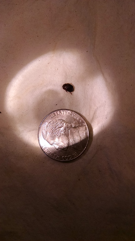 IMG_20170708_145533647