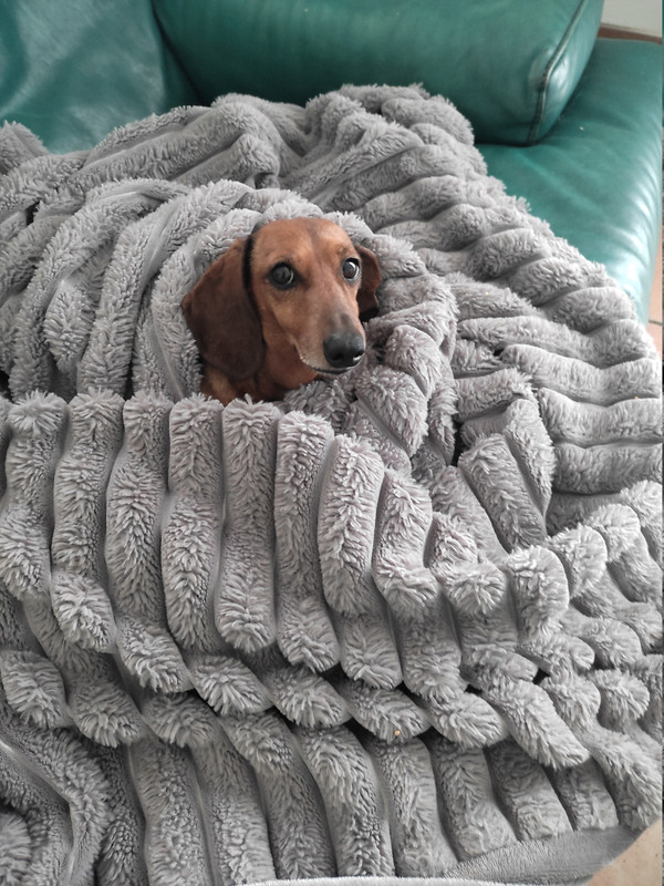 [Image: IMG-20251023-124133.jpg]