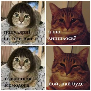 йой з кицею