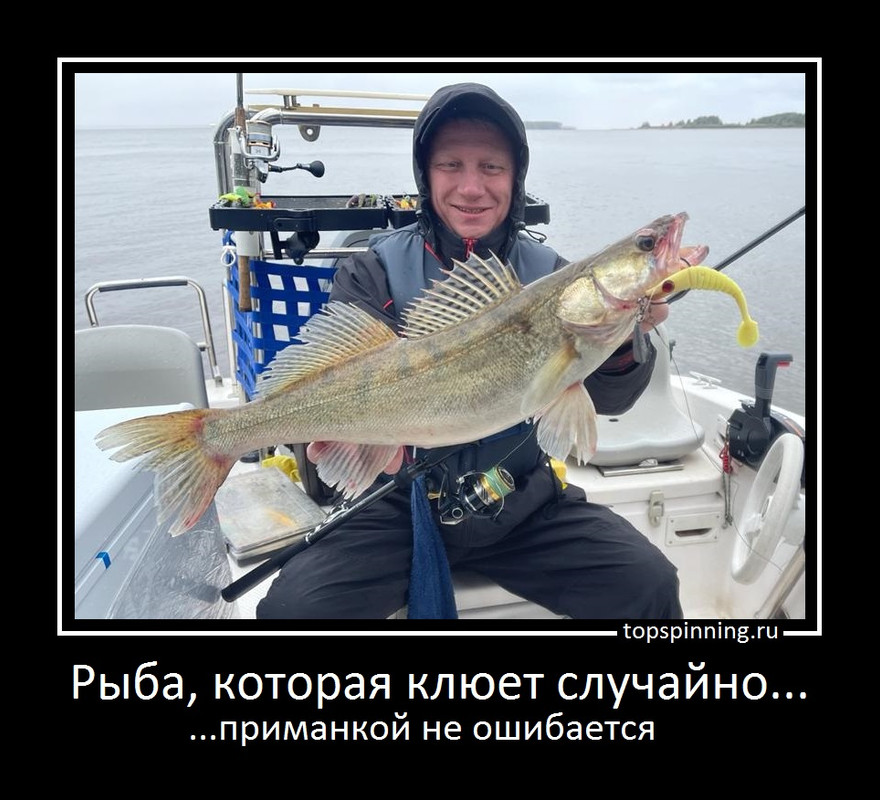 3322 демотиватор джиг головка купи спиннинг Куляпин ловля рыбалка лучший судак щука
