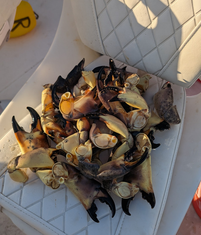 PXL 20251015 214646983 2