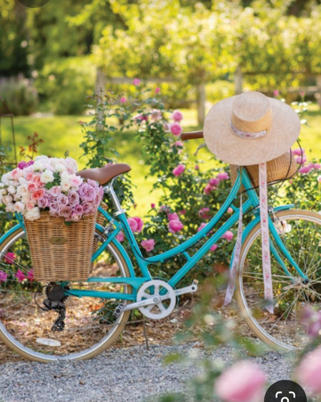 Screenshot_20230614_004446_Pinterest