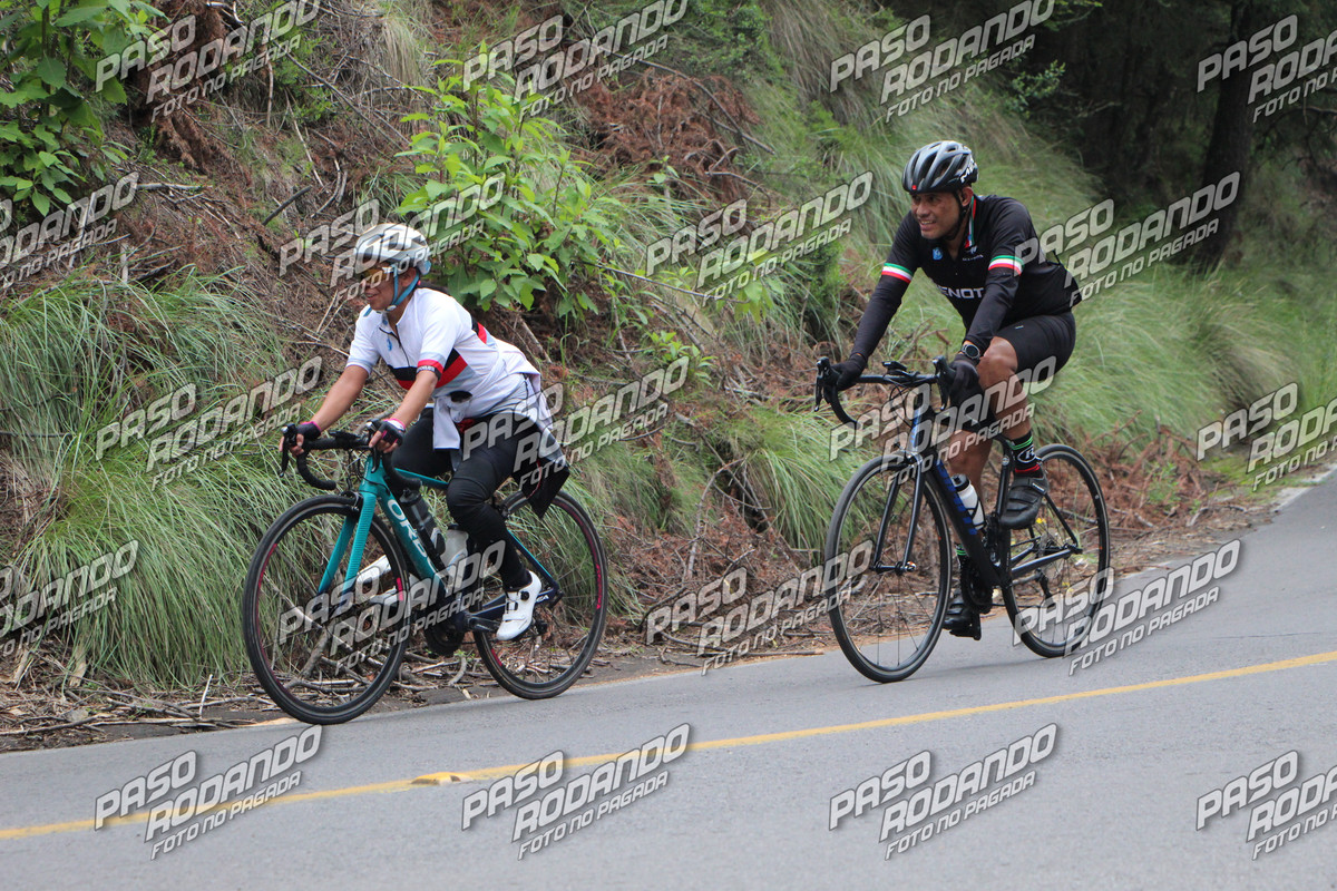 IMG 3424 wm 2408990 watermarked — Postimages