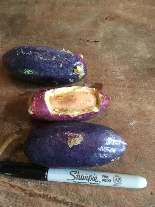 A840F63A-E16A-4F13-8BAA-1CA9D0C32E91