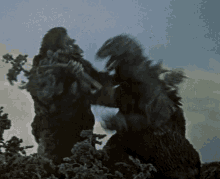 IMG-5259.gif
