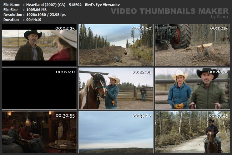 Heartland (2007) (CA) - S18E02 - Bird's Eye View.mkv