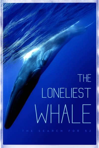 the-loneliest-whale-the-search-for-52-20