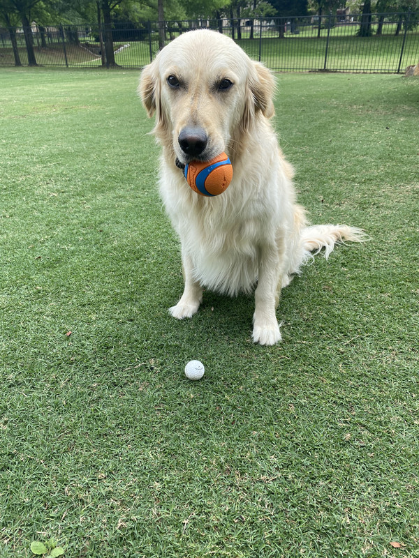 493177C8-BBC6-4F74-823A-1821B59032E1