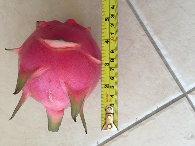 6AF63810-3CA8-482A-8D0F-9017DC925B8F