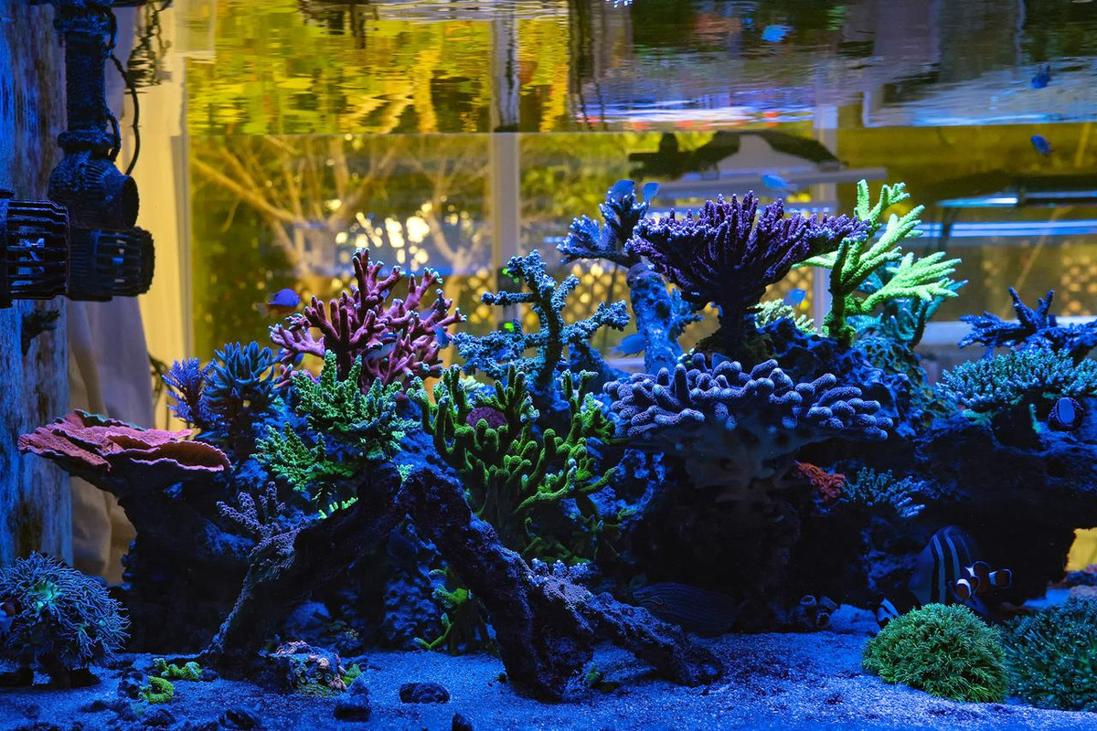 A5EA61E3-1466-4732-AD13-8EC4C36DE407