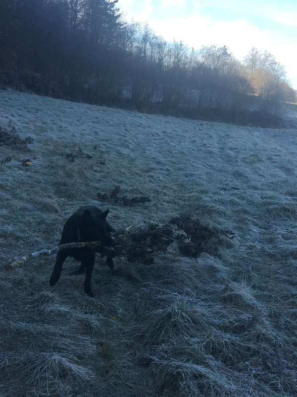 86916E10-28FC-4CDC-A8D8-190A3D0B71C5