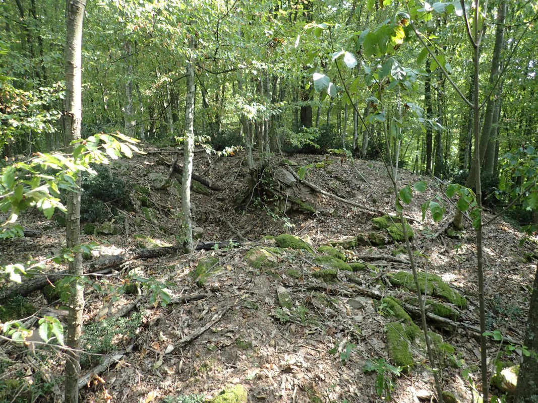 RUTIZAM SRBIJA - DragoševacJerinin grad (jagodinski) (8)