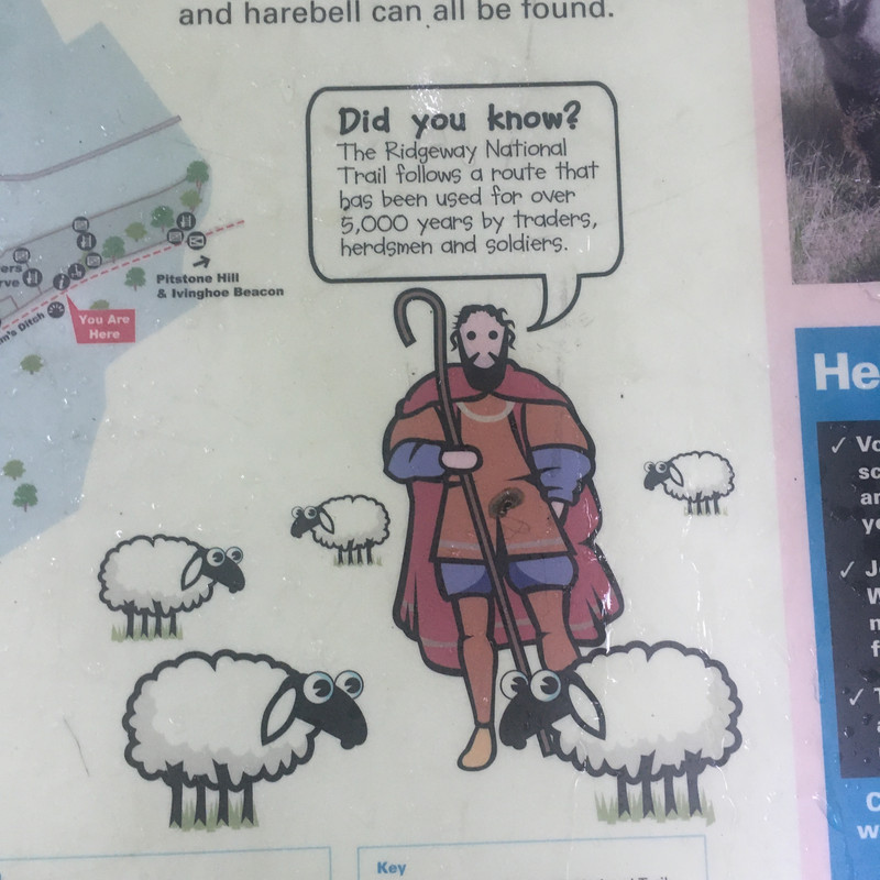 FD5-C4-FFE-72-CC-4-CCD-A1-E2-6-C9486-E76991