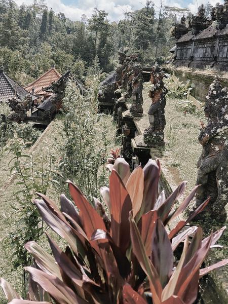 6 Aviones, 3 barcos y 2 trenes, empezando en Estambul y terminando Kuala Lump - Blogs de Indonesia - TERCERA PARADA: BALI (70)