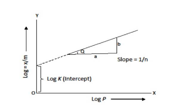Freundlich Absorption Graph
