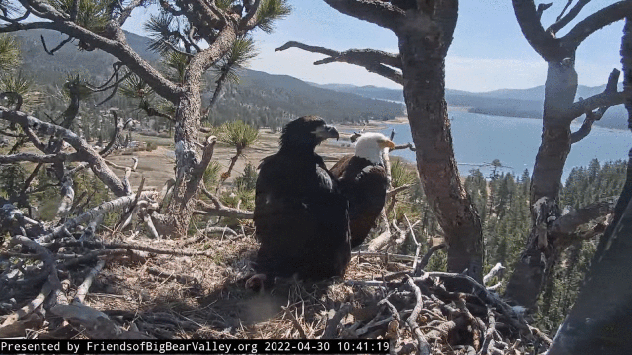 Webp.net-gifmaker (3)