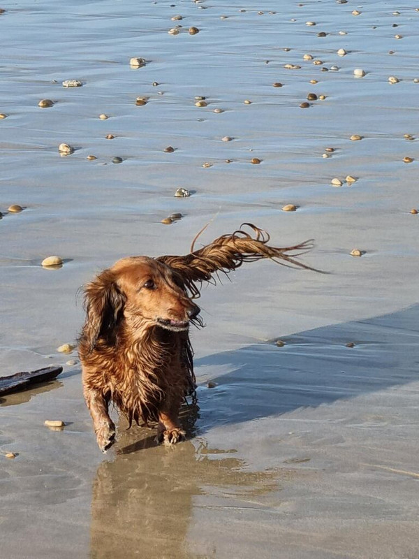 [Image: IMG-20250409-094837.jpg]