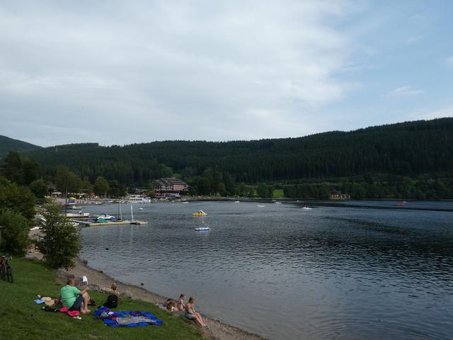 Día 9- Rodelbahn de Gutach, Triberg y Lago Titisee - ALSACIA, LAGO CONSTANZA Y SELVA NEGRA - Agosto 2017 (17)