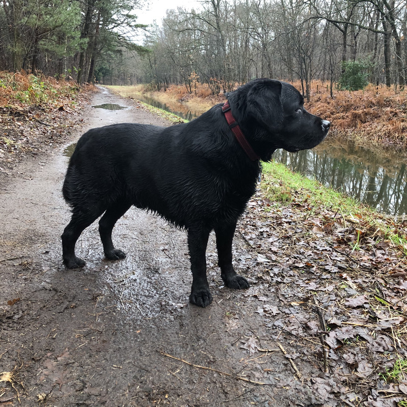 CFDDECB1-9BFA-4C8E-BF72-AD48542BE7FA