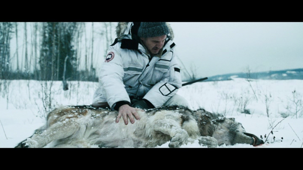 vlcsnap-2017-11-08-19h48m12s905