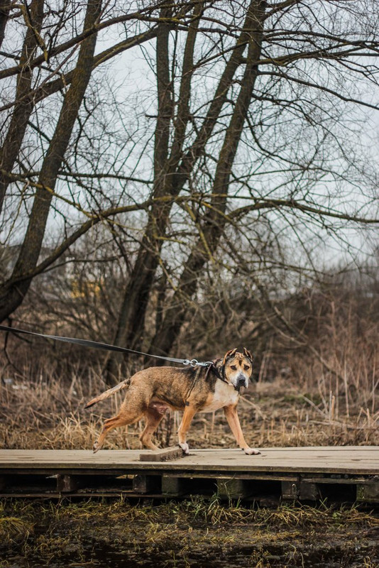 без имени-0199