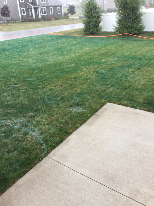 2D19F720-01E3-4A6B-A4A8-03869E07E520