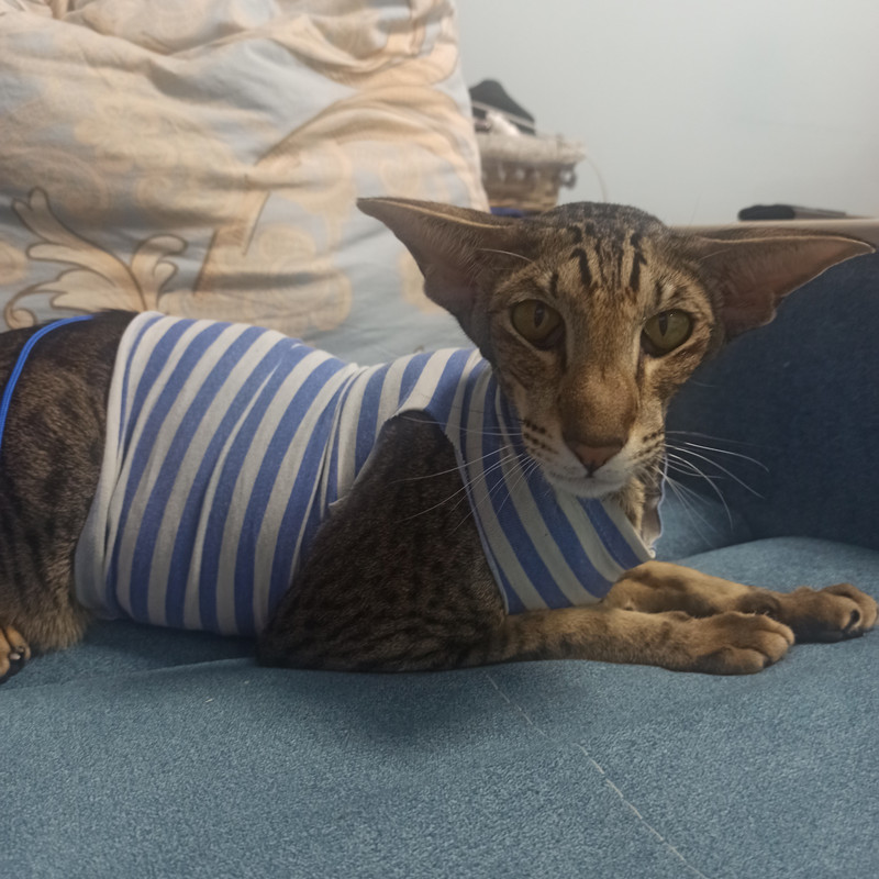 IMG_20220429_200531_277