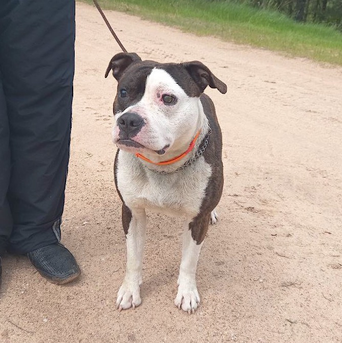 1AA074FC-82A4-4E7E-9C5D-21FB579A5BB5