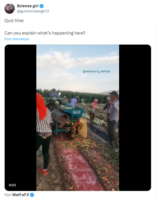 Wassermelonen-Kern-Ernte