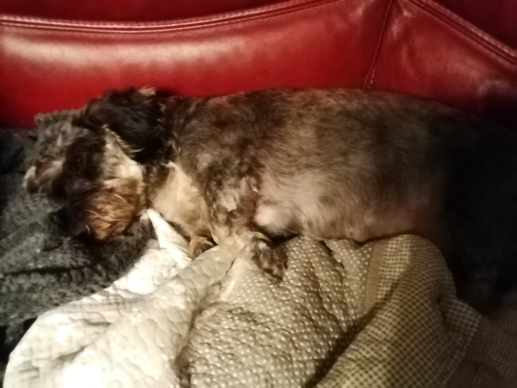 [Image: IMG-20210330-215642.jpg]