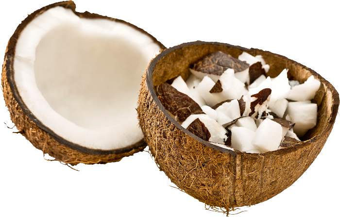 Siempre Libre & Glitters y Gifs Animados Nº337 - Página 5 Coconut-Cocktail-30
