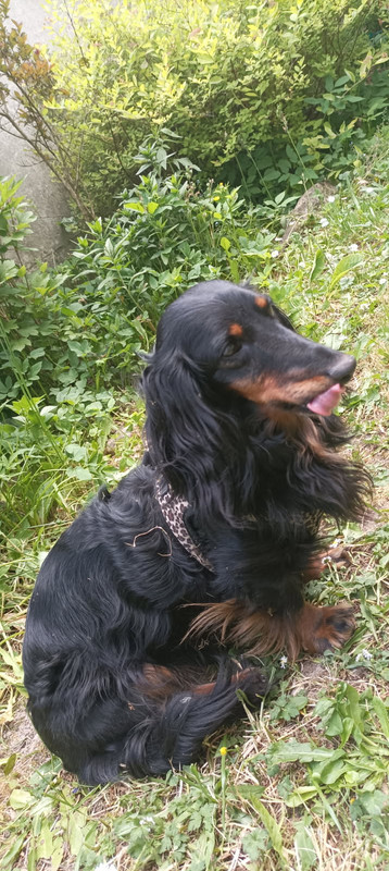 [Image: IMG-20250923-193642.jpg]