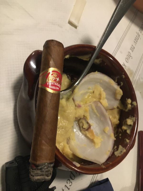 545B3C66-30BD-4EF7-A94F-9E361681772E