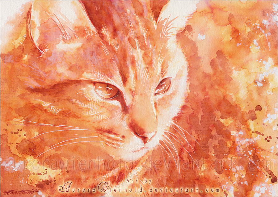 33-sunny-day-by-aurorawienhold-d5nubwe