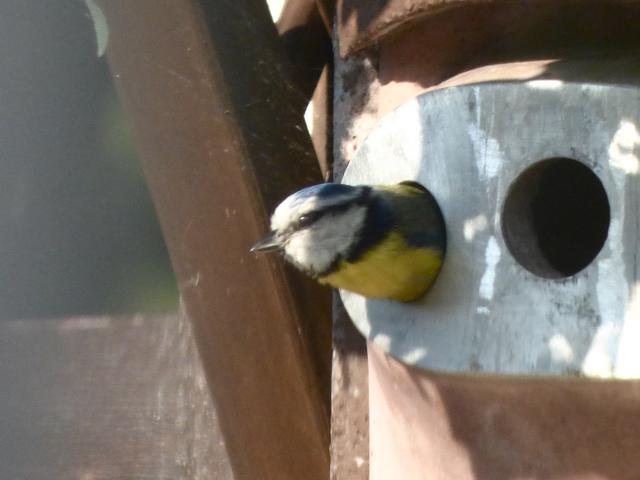 4B2D6A39-3B58-4561-936F-FE347302C7A8