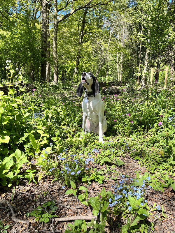 4E0C0533-9AB1-4C83-A011-50D740423C3F