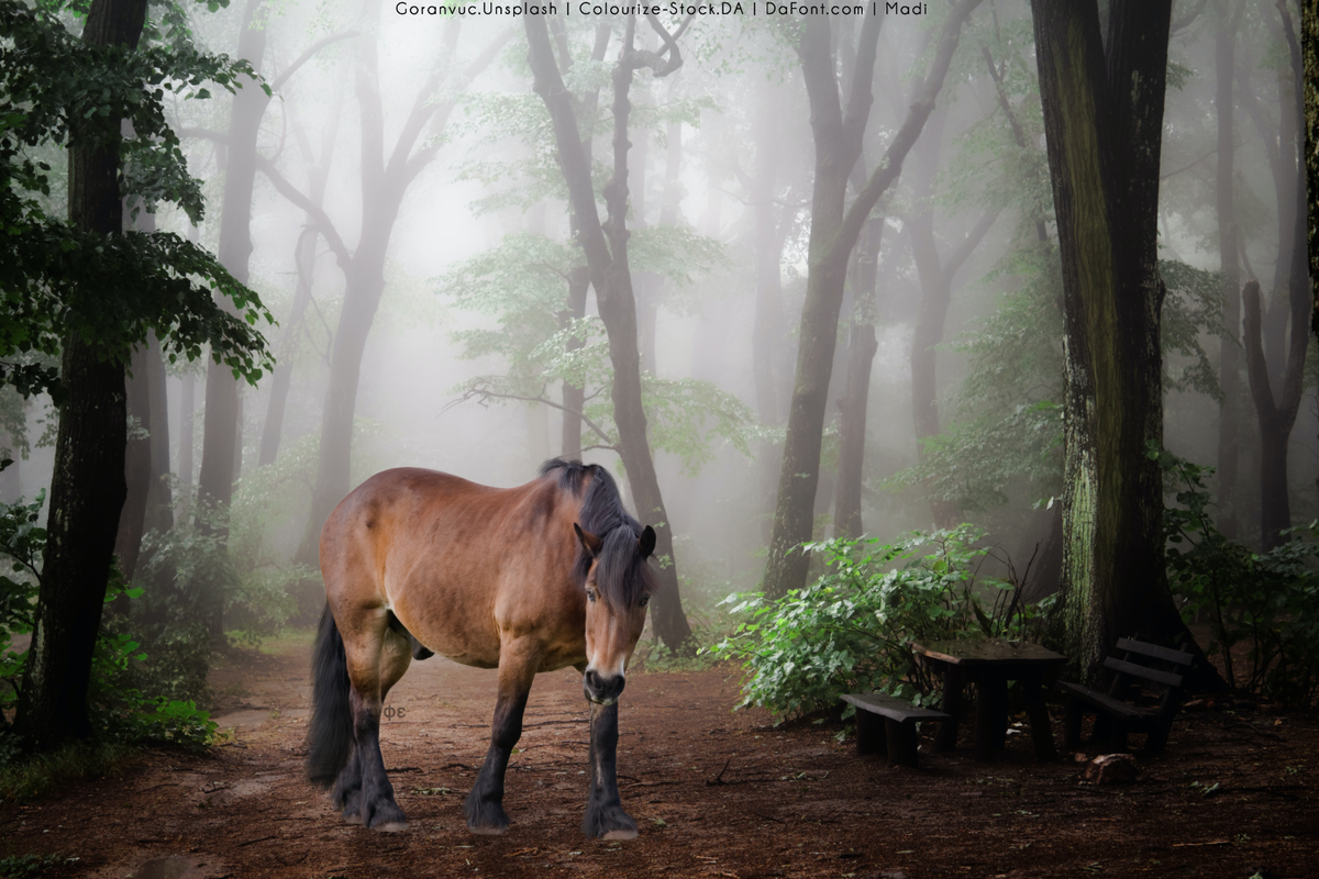 BCE66D22-D269-46C4-9438-E5BADFA7DBC5