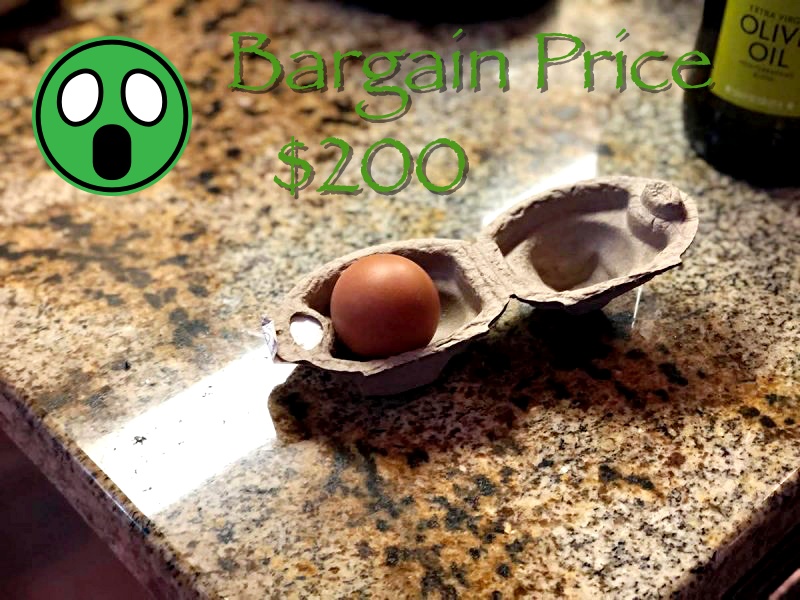 egg.jpg