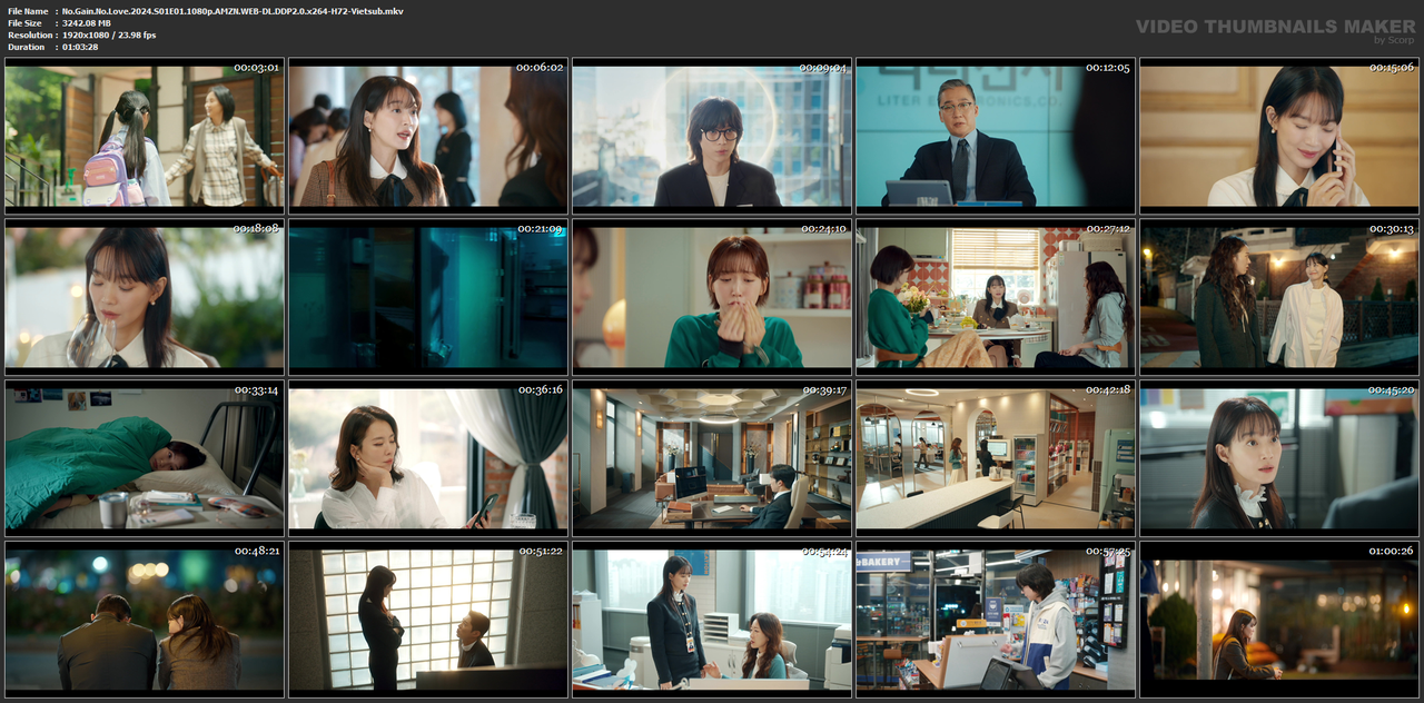 No.Gain.No.Love.2024.S01E01.1080p.AMZN.WEB-DL.DDP2.0.x264-H72-Vietsub.mkv