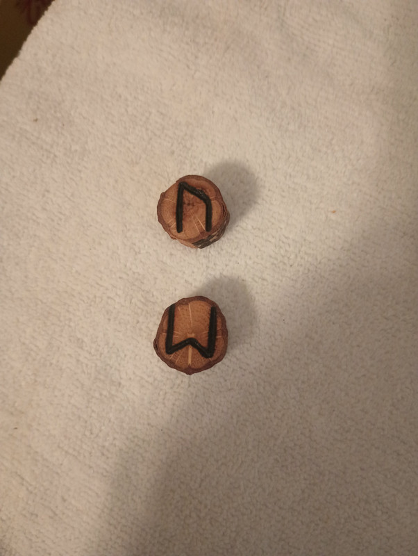 IMG_20241018_095036511