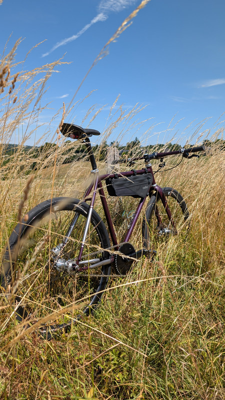 PXL_20250704_121308761.MP